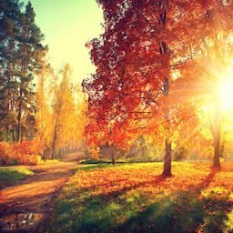 Training in Autumn is beautiful and there is still plenty of light